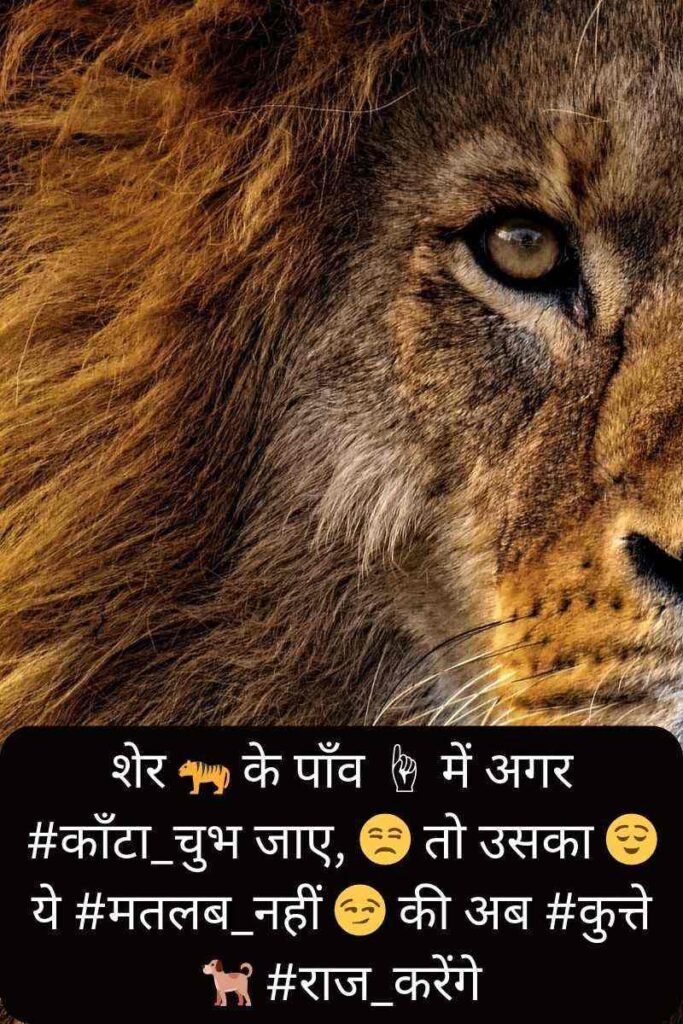 हम 😎क्यो❓_डरे किसी✊👊👊 #से हम _तो 👳पैदा ही #शेरो🦁 👉 की #बस्ती🏢👈मे हुए है _डरना है, 🙀 तो वो👉