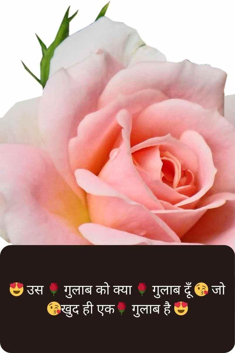 😍 उस 🌹 गुलाब को क्या 🌹 गुलाब दूँ 😘 जो 😘खुद ही एक🌹 गुलाब है 😍